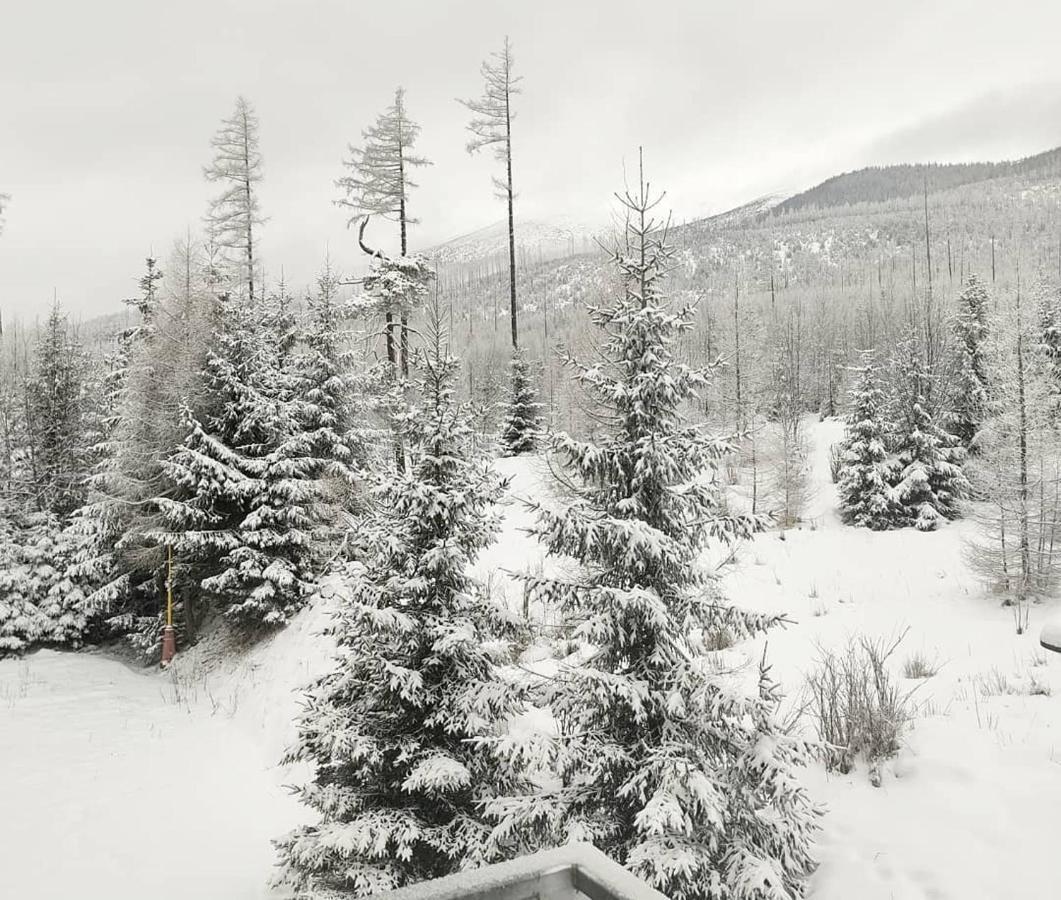 Ubytovanie Pod Gerlachom Vysoké Tatry Esterno foto